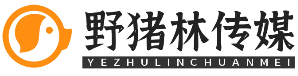 野猪林传媒